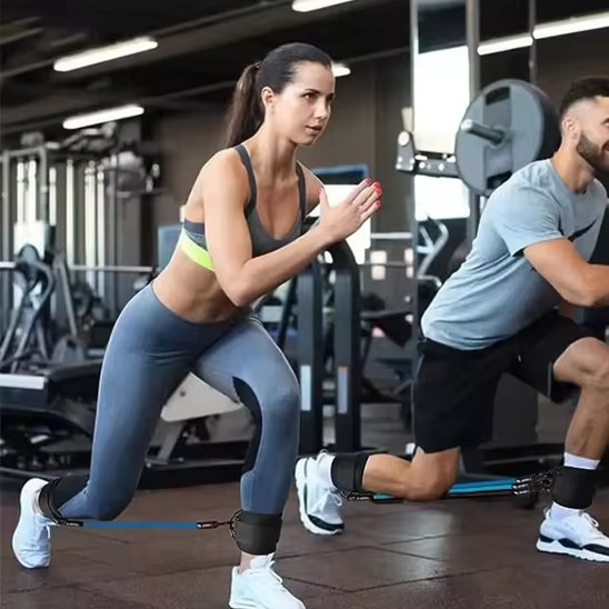 elastiques musculation